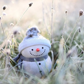 Meteo, temperature sotto zero nell'entroterra savonese: il record del freddo a Sassello con -7.8°