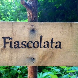 Foto tratta dalla pagina Facebook "Fiascolata Dego"