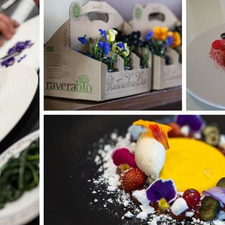 Alassio, i fiori eduli di RaveraBio protagonisti al Festival Nazionale Cucina con i fiori (FOTO e VIDEO)