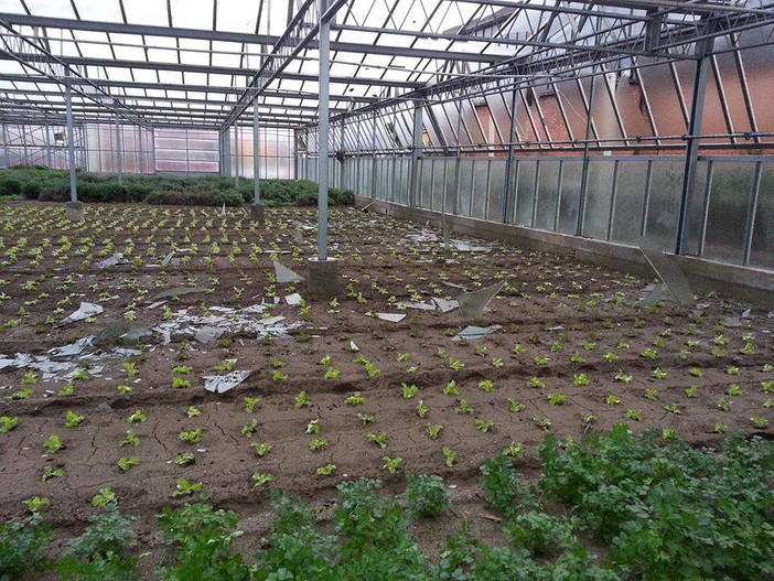 Imu agricola, Calleri all'attacco:"E' una tassa sull'altitudine: discrimina i terreni"