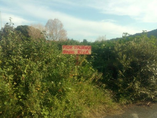 "Fior d’Albenga 2016 allo Stadio Riva di Albenga" l'ironia sul cumulo di terra di fronte allo stadio "Fior d’Albenga 2016 allo Stadio Riva di Albenga" l'ironia sul cumulo di terra di fronte allo stadio