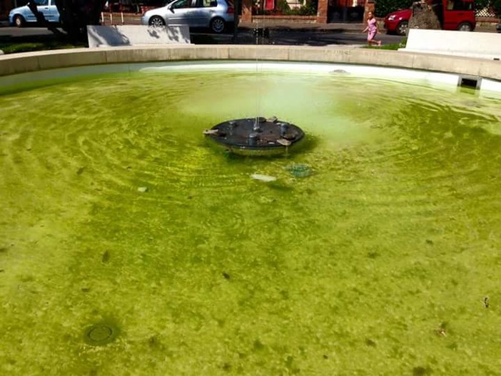 Albenga: degrado nella fontana di Piazza Marconi, la segnalazione del consigliere comunale Nucera