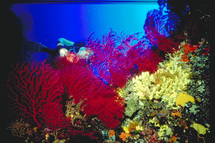 immagine: infogiglio.it immagine: infogiglio.it