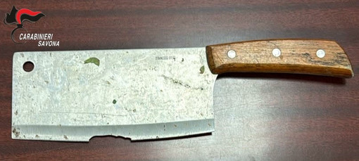 Albenga, lite tra fratelli finisce nel sangue: uno dei due ferito a colpi di mannaia, arrestato un 21enne Albenga, lite tra fratelli finisce nel sangue: uno dei due ferito a colpi di mannaia, arrestato un 21enne