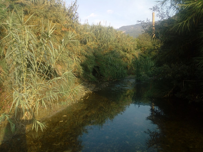 Savona in allerta arancione: "Quando lo Stato appare solo per punire" Savona in allerta arancione: "Quando lo Stato appare solo per punire"