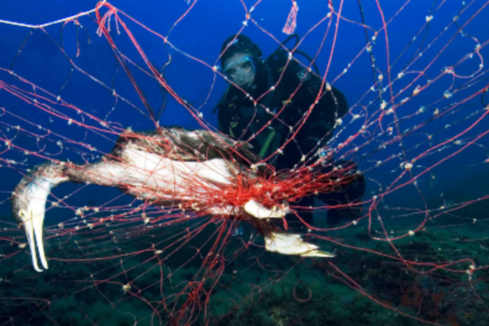 Savona, ATA organizza il 3° concorso fotografico "L’ambiente intorno a noi" Savona, ATA organizza il 3° concorso fotografico "L’ambiente intorno a noi"