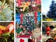 Borghetto S.S., colori e magia natalizia sostenibile: alla Floricoltura Vivai Michelini fiorisce l’inverno