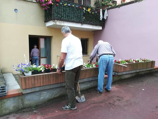 Carcare, un angolo fiorito 'donato' dalla Pro Loco (FOTO) Carcare, un angolo fiorito 'donato' dalla Pro Loco (FOTO)