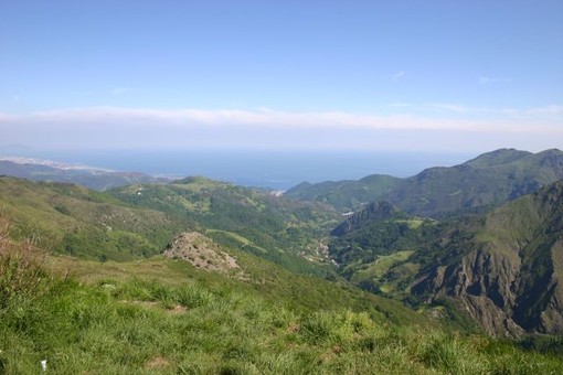 Anziano disperso nei boschi del Faiallo