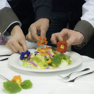 Fiori, belli, buoni e fanno bene, ad Albenga il progetto Antea si sviluppa e cresce