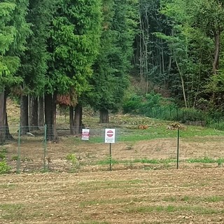 Altare, Scotti: "Chiusa la fonte del Lupo, ennesimo smacco al territorio"