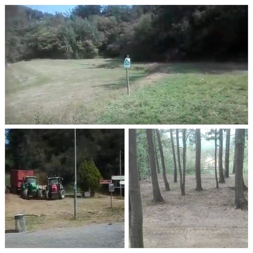 34° Fiera di San Bartolomeo, l'assessore del Comune di Savona Zunato: "Prove tecniche per la due giorni del prossimo anno"