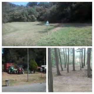 34° Fiera di San Bartolomeo, l'assessore del Comune di Savona Zunato: "Prove tecniche per la due giorni del prossimo anno"