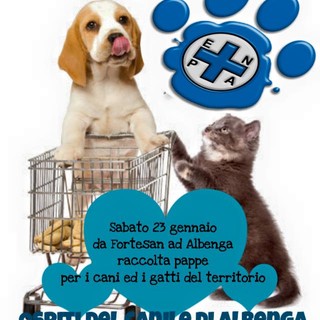 Ad Albenga giornata a favore degli animali bisognosi Ad Albenga giornata a favore degli animali bisognosi
