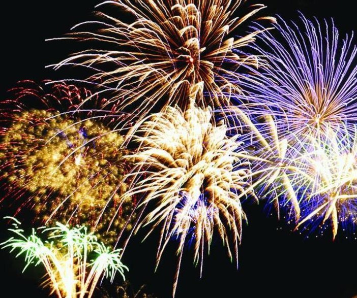 "Basta botti e fuochi d'artificio", la Leidaa lancia una campagna di sensibilizzazione "Basta botti e fuochi d'artificio", la Leidaa lancia una campagna di sensibilizzazione