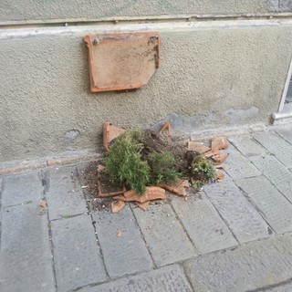 Vandali in azione a Finale Ligure, distrutte fioriere in via Ghiglieri