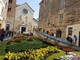 Fior d'Albenga diventa concorso con "Un'Aiuola da Favola" Fior d'Albenga diventa concorso con "Un'Aiuola da Favola"