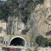 Finale, cade una pianta dalla galleria del Castelletto sull'Aurelia: verifiche in corso Finale, cade una pianta dalla galleria del Castelletto sull'Aurelia: verifiche in corso
