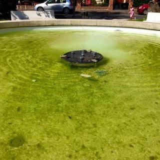 Albenga: degrado nella fontana di Piazza Marconi, la segnalazione del consigliere comunale Nucera