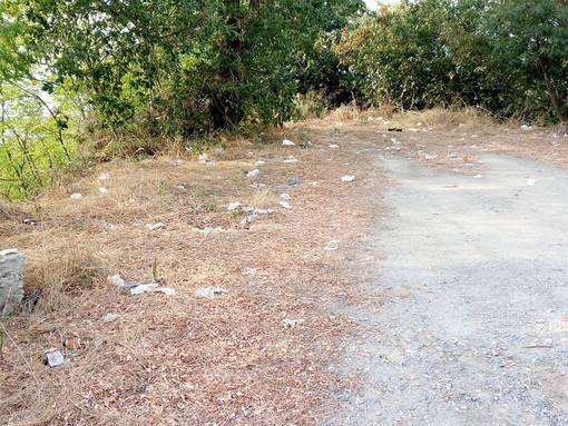 A Savona (ma non solo a Savona) lamentele per atti osceni nelle aree verdi ma soprattutto per chi sporca dopo A Savona (ma non solo a Savona) lamentele per atti osceni nelle aree verdi ma soprattutto per chi sporca dopo