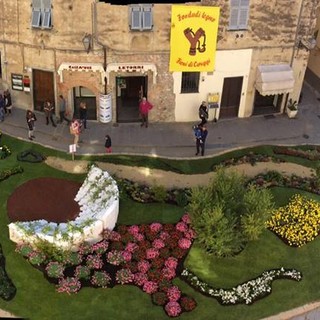 Fior d'Albenga è Petaloso