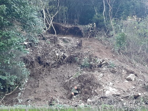 Albisola, chiusa nuovamente causa frana la SP 2 in località Ellera (FOTO e VIDEO) Albisola, chiusa nuovamente causa frana la SP 2 in località Ellera (FOTO e VIDEO)