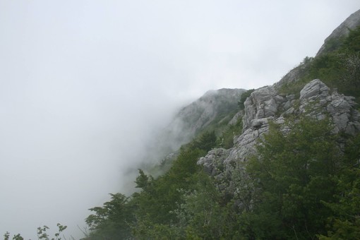 Immagine di repertorio