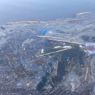 La Goletta Verde in Liguria, molte criticità alle foci dei fiumi: fortemente inquinate  a Ceriale e Pietra Ligure