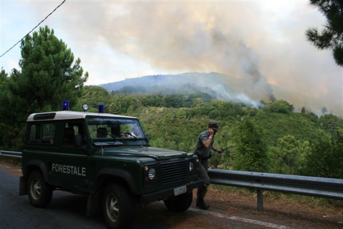 Corpo Forestale dello Stato, l’attività del 2011: 199 persone denunciate in materia di benessere animale Corpo Forestale dello Stato, l’attività del 2011: 199 persone denunciate in materia di benessere animale