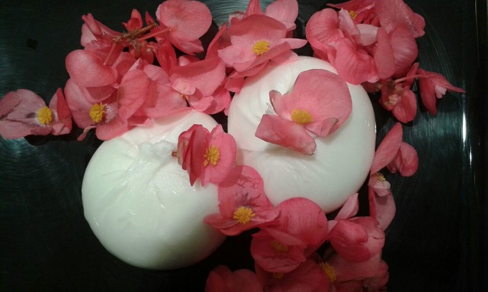 Con il Cersaa i fiori eduli diventano possibile business anche all'estero