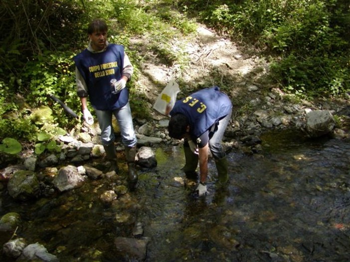 Sicurezza ambientale: il bilancio del Corpo Forestale ligure