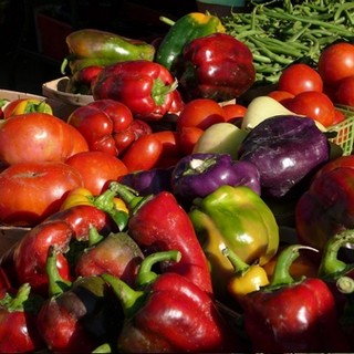 Finale: oggi mercato straordinario sul lungomare Migliorini