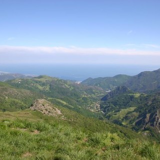 Anziano disperso nei boschi del Faiallo