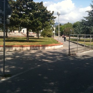 Savona, al via la rimozione di 144 resti di alberi mai eliminati: dopo i lavori nuove piantumazioni