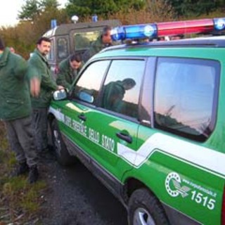 Comando Forestale provinciale: "Di origine colposa gli incendi degli ultimi giorni"
