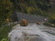Cosseria: la frana invade completamente l'alveo del rio Cornareto Cosseria: la frana invade completamente l'alveo del rio Cornareto