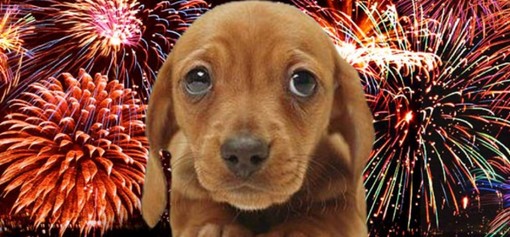 Leidaa Savona dice "no" ai botti di Capodanno