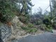 Finale, frana in località La Selva, strada interrotta. In mattinata le valutazioni sulla Sp27 verso Orco Feglino Finale, frana in località La Selva, strada interrotta. In mattinata le valutazioni sulla Sp27 verso Orco Feglino