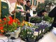 Alassio e l’associazione Assoristobar festeggiano l’equinozio di primavera con i sapori di Liguria abbinati ai fiori eduli del progetto Antea