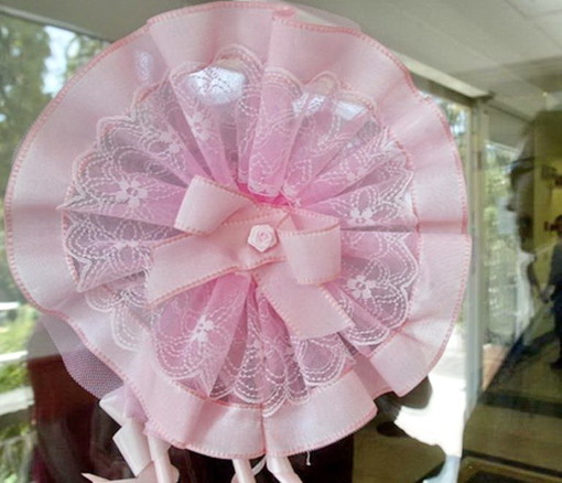 Fiocco Rosa per il presidente del Parco delle Alpi Liguri Alessandro Alessandri: è nata Lavinia Fiocco Rosa per il presidente del Parco delle Alpi Liguri Alessandro Alessandri: è nata Lavinia