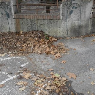 Marciapiedi coperti da foglie ad Albenga, la segnalazione di un cittadino ipovedente: "Vere e proprie trappole"