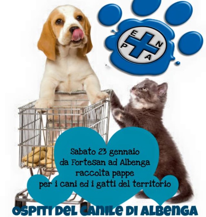 Ad Albenga giornata a favore degli animali bisognosi Ad Albenga giornata a favore degli animali bisognosi