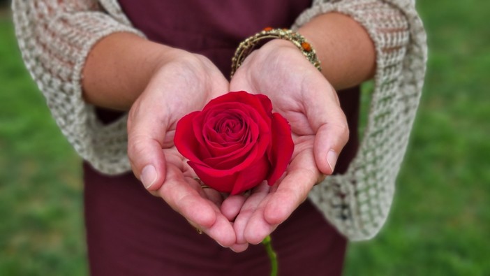 Un fiore in ricordo delle mamme che non ci sono più Un fiore in ricordo delle mamme che non ci sono più