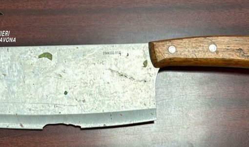 Albenga, lite tra fratelli finisce nel sangue: uno dei due ferito a colpi di mannaia, arrestato un 21enne Albenga, lite tra fratelli finisce nel sangue: uno dei due ferito a colpi di mannaia, arrestato un 21enne