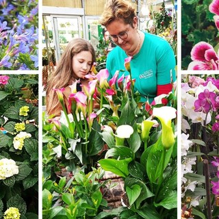 Sboccia la primavera alla Floricoltura Vivai Michelini di Borghetto S. Spirito: un mondo di fiori, piante e colori