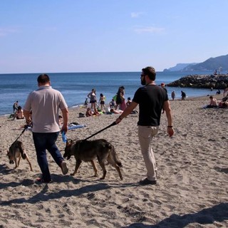 OSA e PAI: "Spiaggia aperta ai cani a Celle? Meglio che niente..."