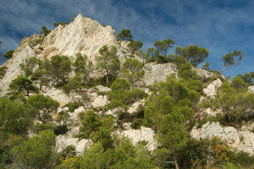 Finale Ligure, nasce l'Osservatorio in difesa delle aree carsiche Finale Ligure, nasce l'Osservatorio in difesa delle aree carsiche
