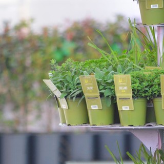 Il Salone dell’Agroalimentare 2019 si tinge di lilla e profuma di Liguria