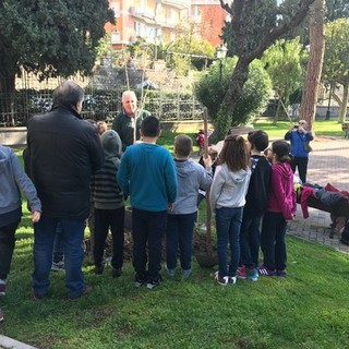 Alassio, nella Giornata dell'Albero, due nuove piante per Parco San Rocco Alassio, nella Giornata dell'Albero, due nuove piante per Parco San Rocco