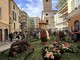 Fior d’Albenga, aiuole visibili fino al 10 maggio: "Non raccogliete i fiori: saranno riutilizzati, previste sanzioni"